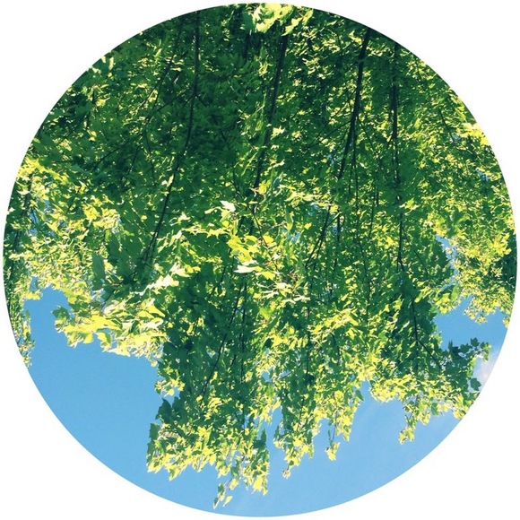 Meet your Posher, Maria - Picture 1 of 1